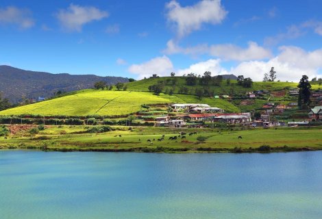 Nuwara Eliya -blumentravels