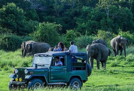 Udawalawe-National-Park