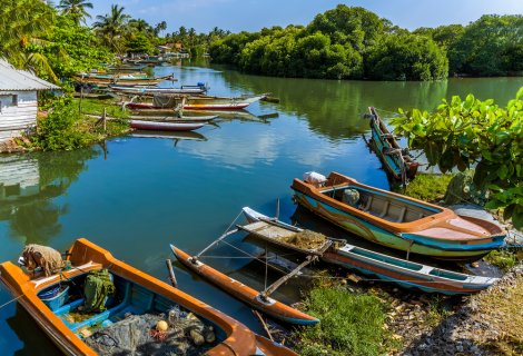 Negombo - blumentravels