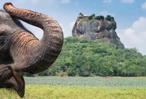 Sigiriya - blumentravels 