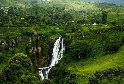  Nuwara Eliya - blumentravels