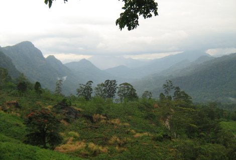  Kelani-Valley-Forest-Reserve 