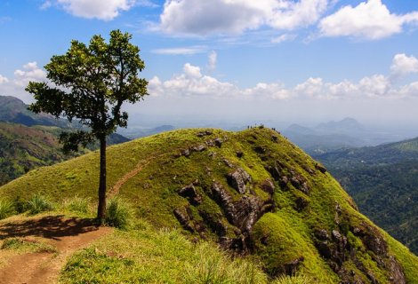 Little-adamspeak