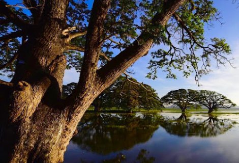  Tissa Lake 