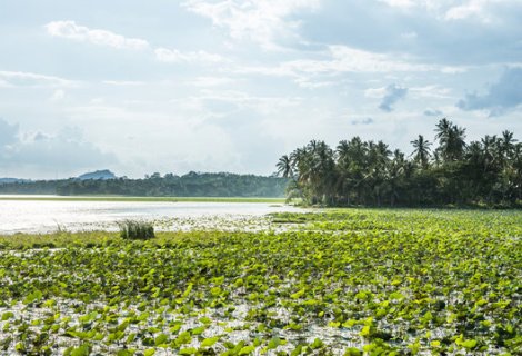  Tissa Lake Srilanaka