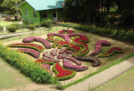 Haggala Botanical garden