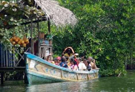 Madu-river-boat-safari