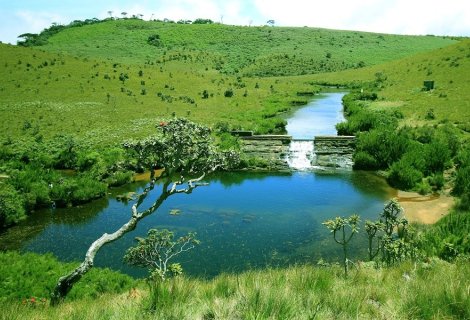 Horton Plains