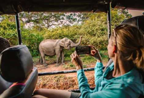 Yala National PArk