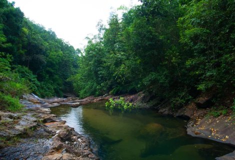  kithulgala-Kelani-Forest Reserve 