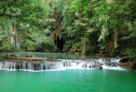 Sinharaja Rain Forest - blumentravels