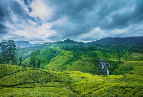 Nuwara Eliya - blumentravels