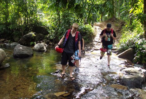 Makandawa Rainforest