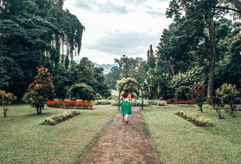 Kandy - blumentravels 