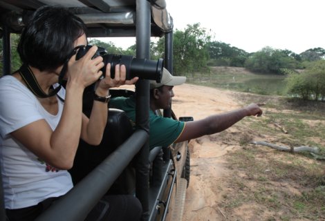 Wilpattu - jeep Safari 