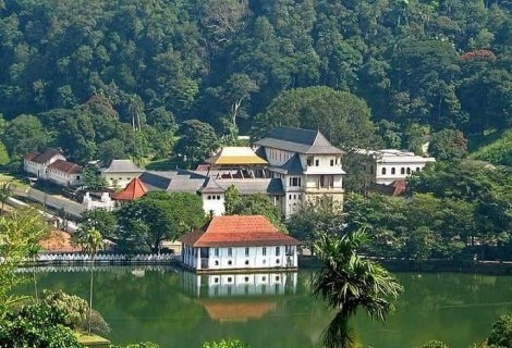 Kandy - blumentravels 